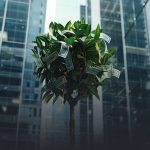 Links internos para empresas com arquitetura de SEO e distribuição de autoridade